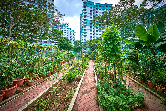 Community Garden